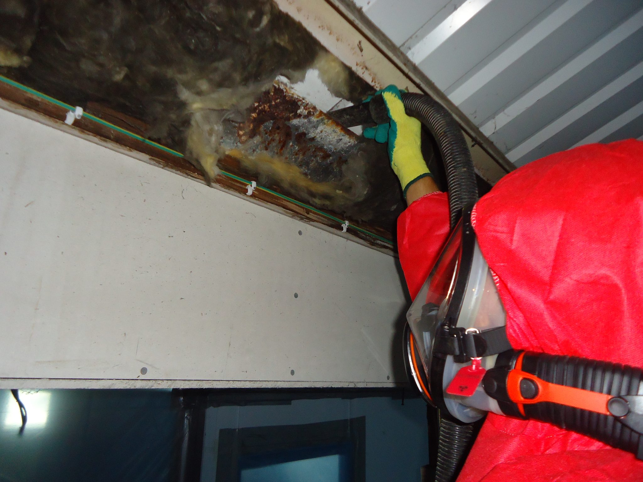 Asbestos Removal and Surveys in Devon - Gilpin Environmental