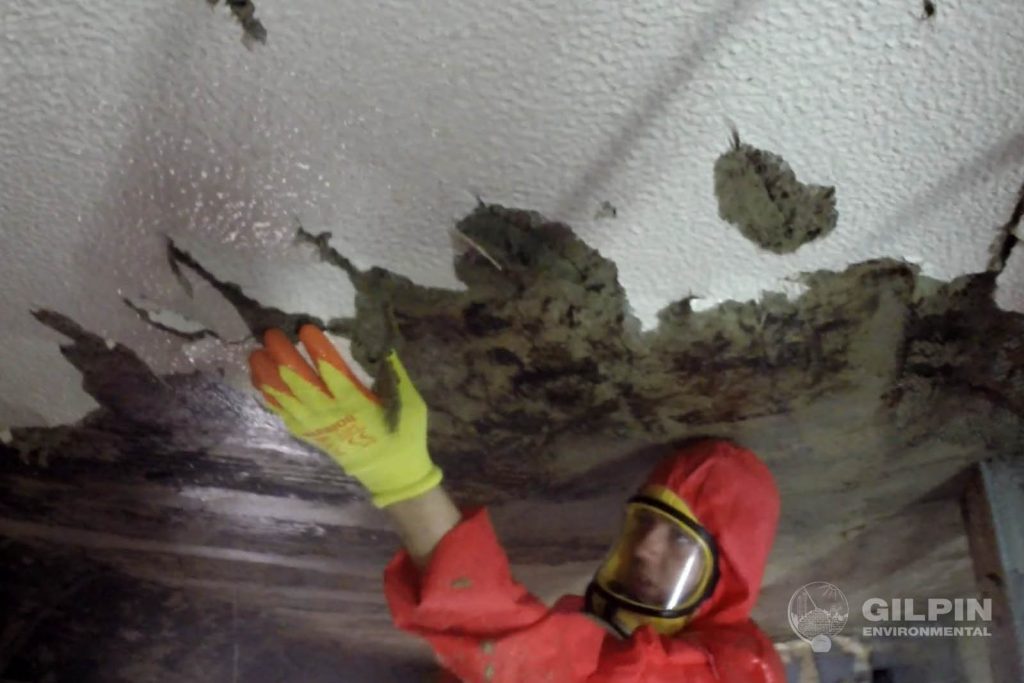 Gilpin Environmental - Asbestos Services in Devon